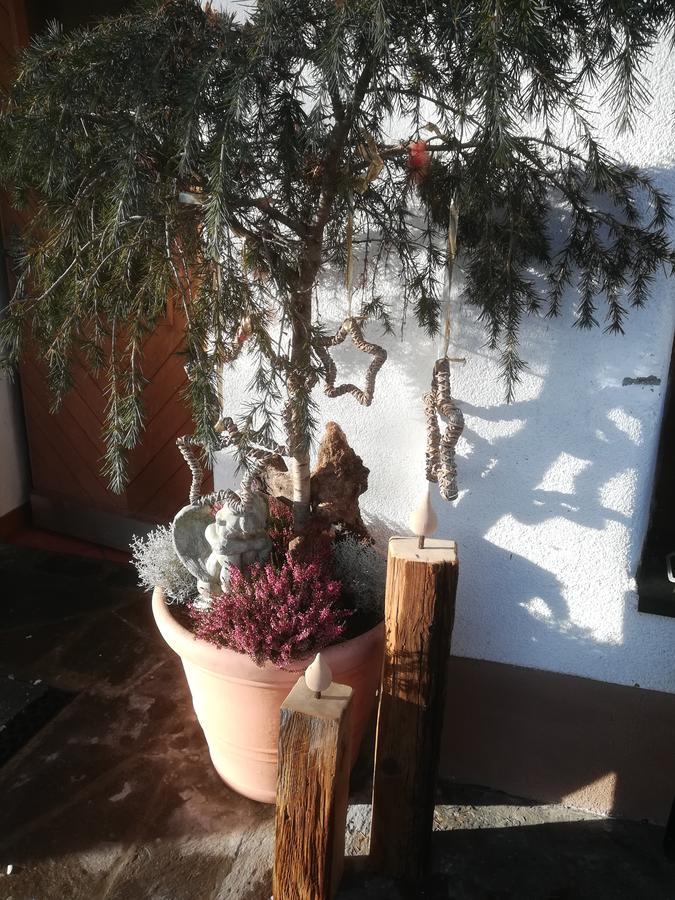 Mesnerhof * Virgen